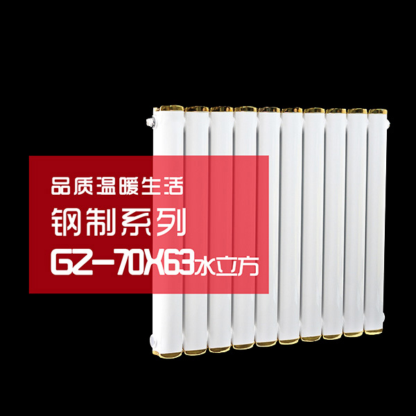 钢制70X63水立方